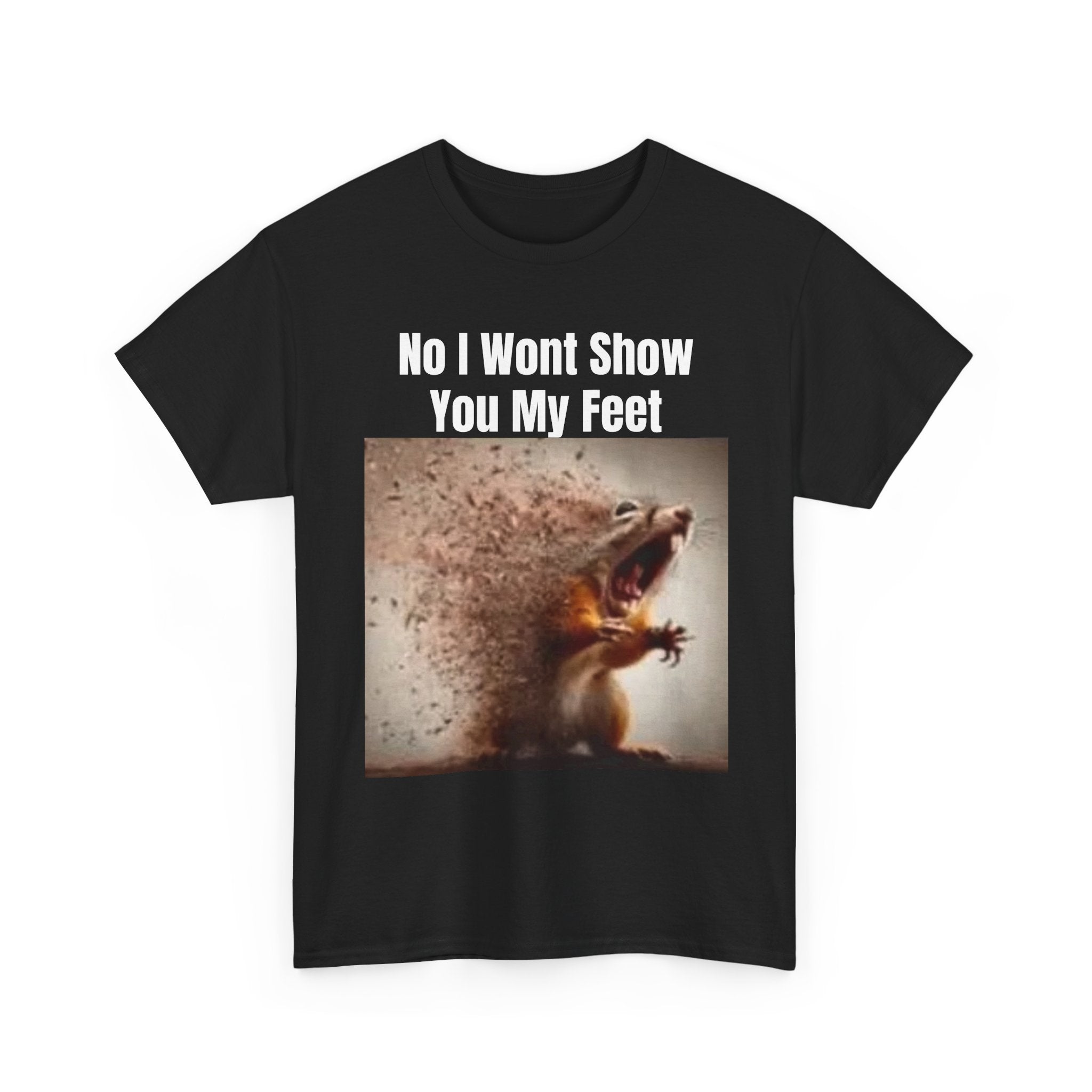 No I Wont Show You My Feet Fun Tee